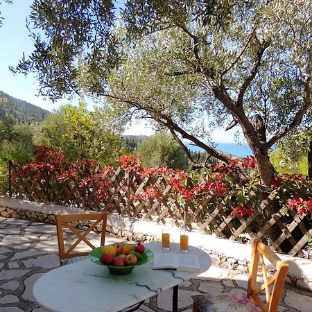 Agios Nikitas Villas エクステリア 写真